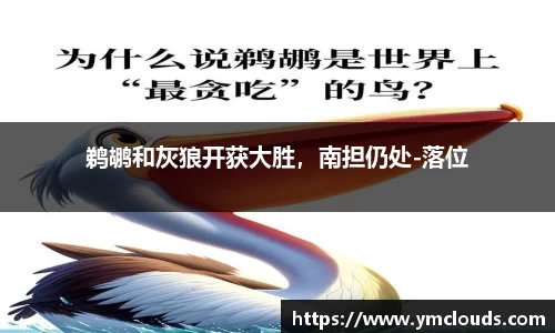 鹈鹕和灰狼开获大胜，南担仍处-落位