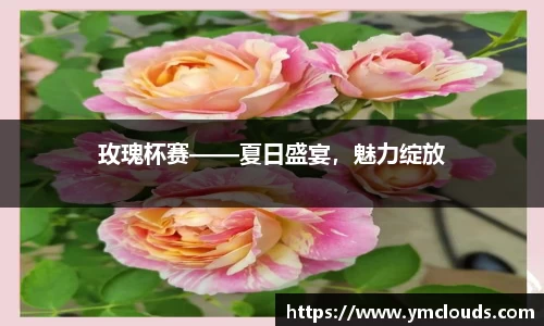 娱乐门徒