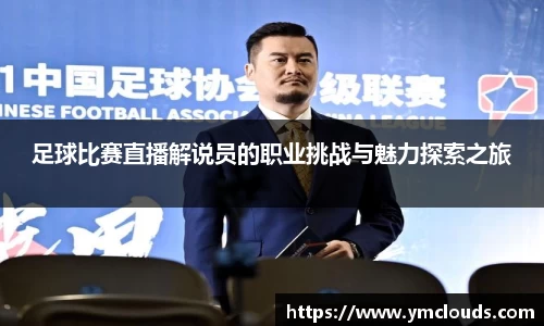 足球比赛直播解说员的职业挑战与魅力探索之旅